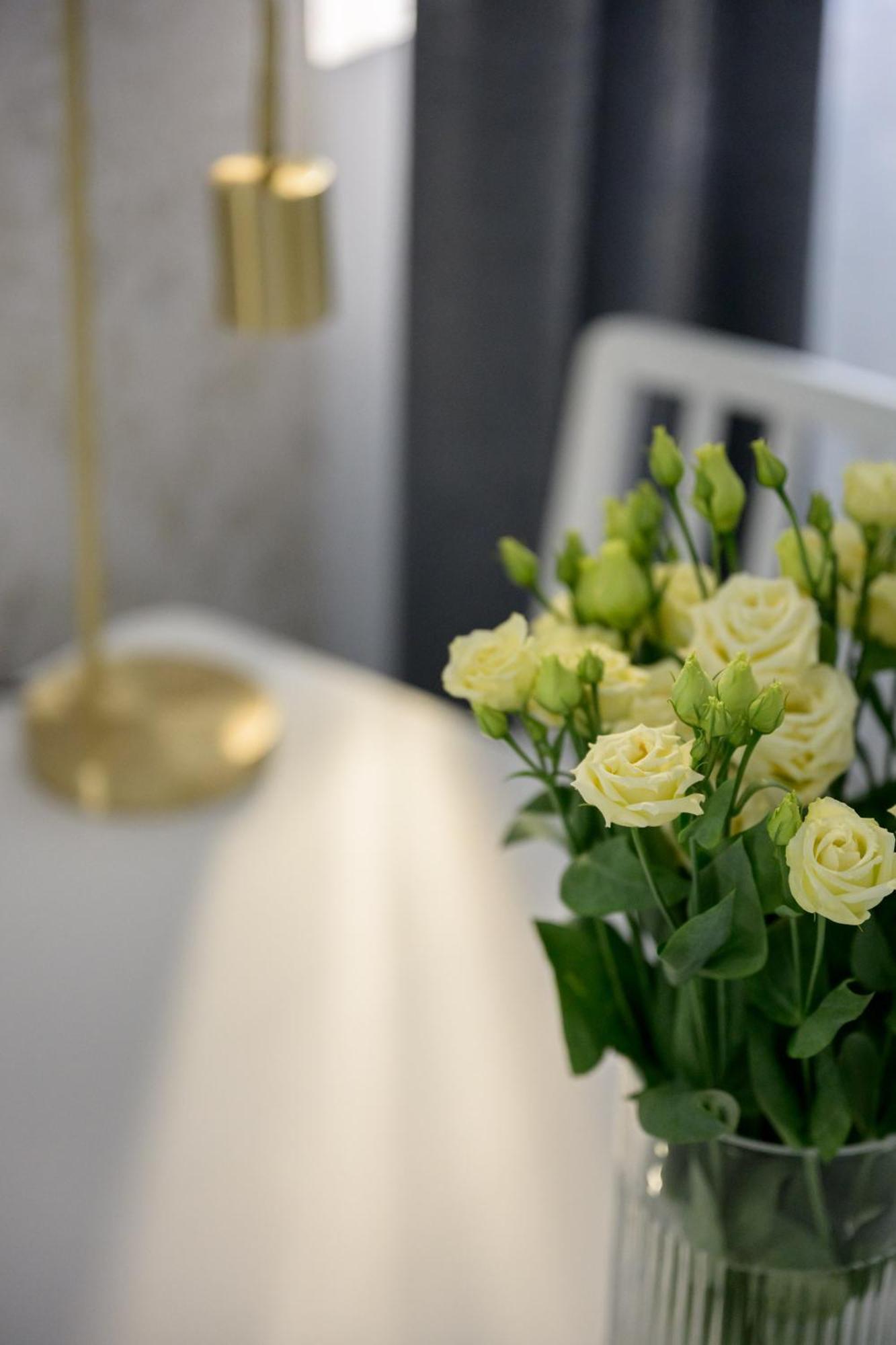 Native Apartments Smolensk 33 คราคูฟ ภายนอก รูปภาพ